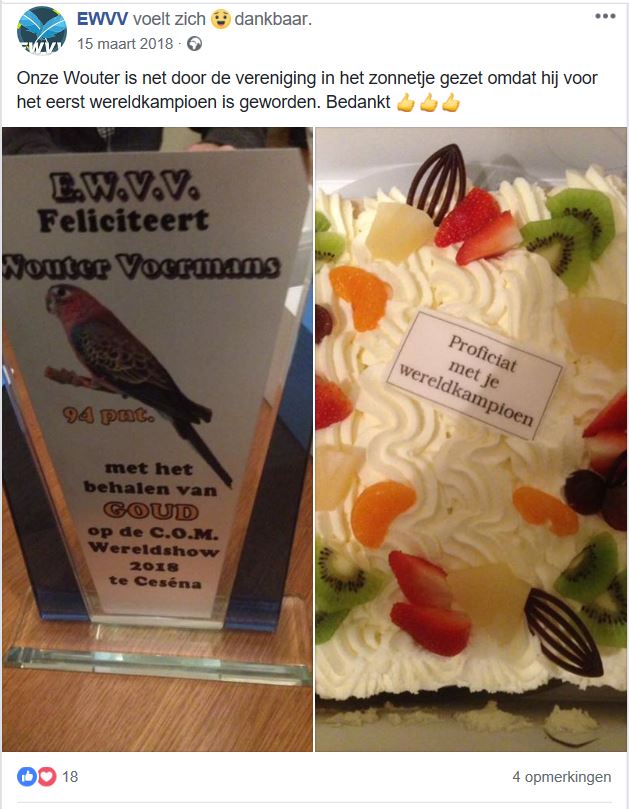 Wouter Voermans wint goud in Secena